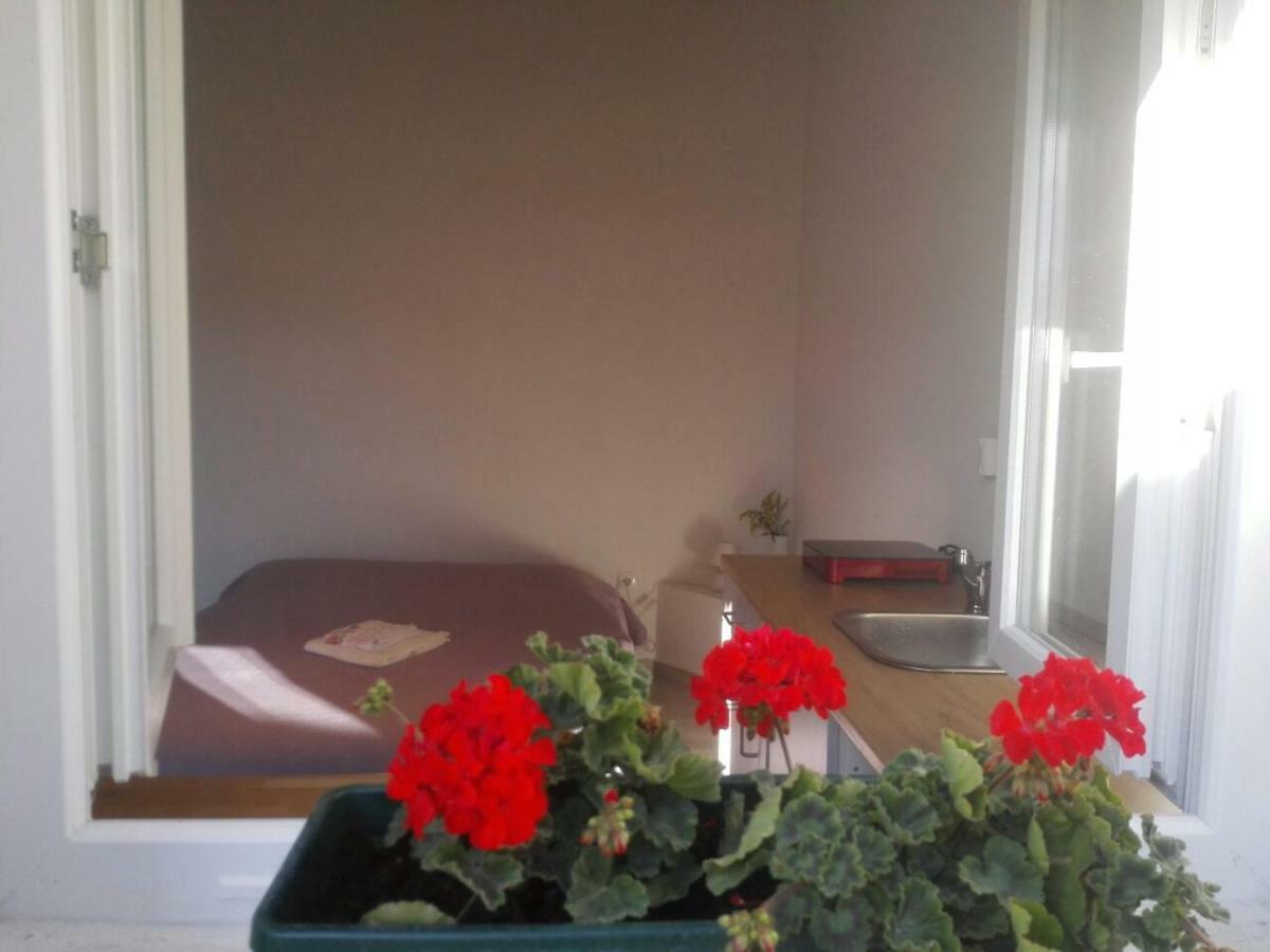 Apartment Small Stone House Luka *